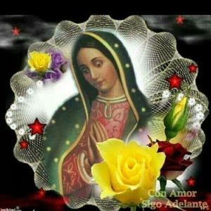 Meet your Posher, Araceli